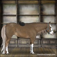 Horse Color:Chocolate Palomino Splash 