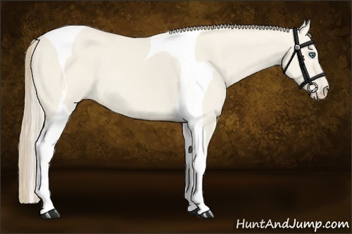 Horse Color:Smoky Creme Dun Tobiano 