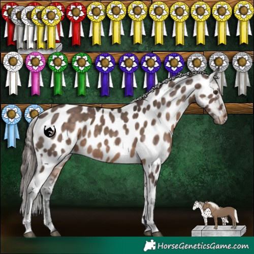 Horse Color:Brown Dun Mushroom Sabino Near Leopard