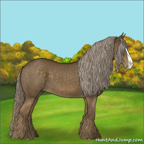 Horse Color:Chocolate Palomino Splash