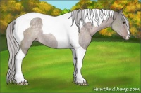 Horse Color:Platinum Silver Brown Dun Tobiano Rabicano