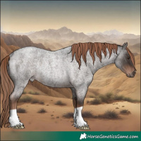 Horse Color:Liver Red Roan Rabicano 