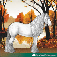 Horse Color:Bay Sabino 