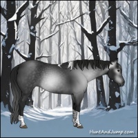 Horse Color:Gray Brown Tobiano Rabicano 