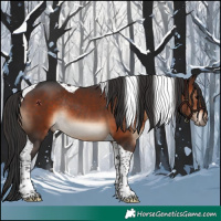 Horse Color:Brown Tobiano Rabicano