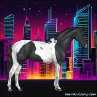 Horse Color:Black Tobiano 