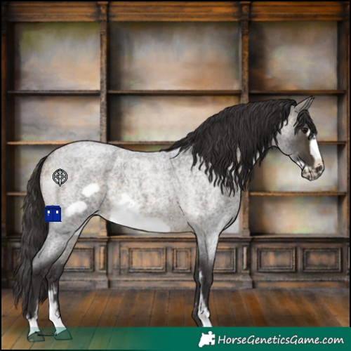 Horse Color:Buckskin Roan Sabino Frame 