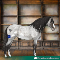 Horse Color:Buckskin Roan Sabino Frame 