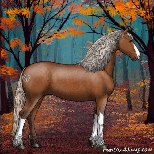 Horse Color:Silver Buckskin 