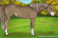 Horse Color:Chocolate Palomino Splash