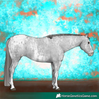 Horse Color:Black Ice Sabino Appaloosa 