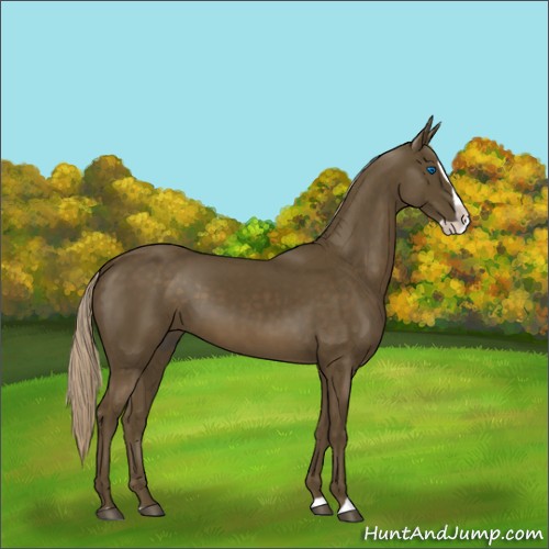 Horse Color:Chocolate Palomino Splash 