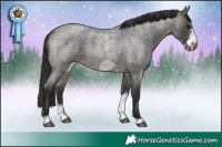 Horse Color:Buckskin Roan Sabino Frame 