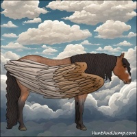 Horse Color:Buckskin Roan Sabino Frame