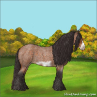 Horse Color:Buckskin Roan Sabino Frame 