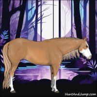 Horse Color:Chestnut Sabino 