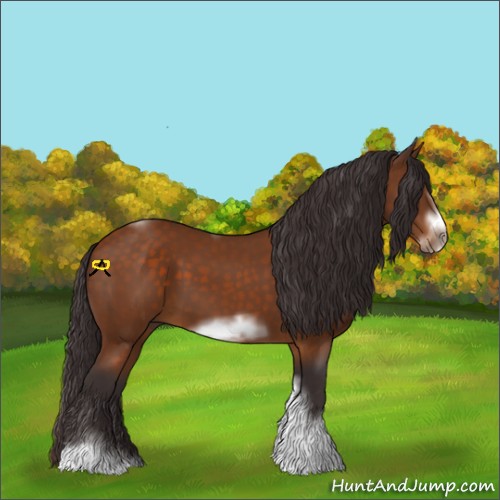 Horse Color:Buckskin Sabino Tobiano Frame
