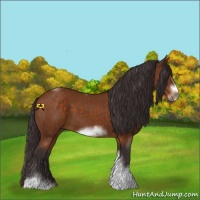 Horse Color:Buckskin Sabino Tobiano Frame 