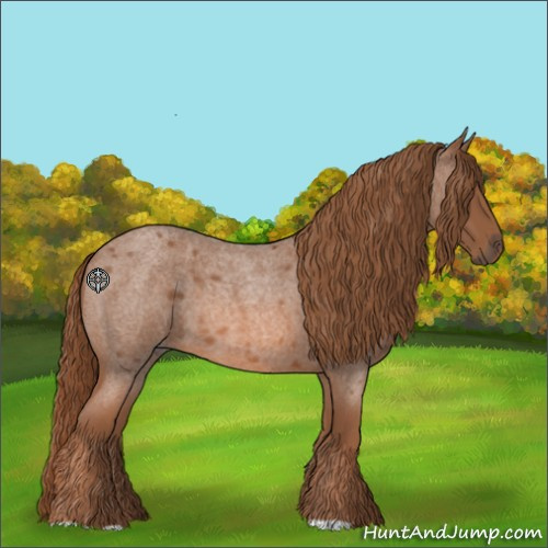 Horse Color:Red Roan 