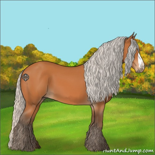 Horse Color:Silver Bay 