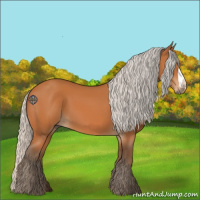 Horse Color:Silver Bay 