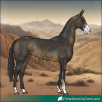 Horse Color:Buckskin Sabino 