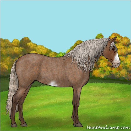 Horse Color:Silver Buckskin Roan Sabino Frame 