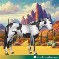 Horse Color:Smoky Black  and Gray Smoky Black 