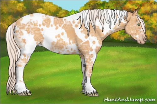 Horse Color:White Spotted Silver Sable Cream Champagne Ice 