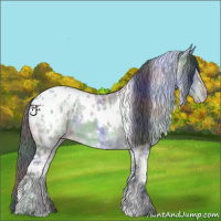 Horse Color:Nacre White Spotted Brown Ice Dun Appaloosa 