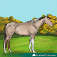 Horse Color:Sable Champagne Dun Tobiano Rabicano 