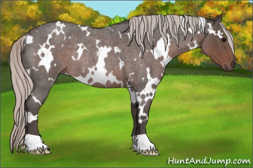 Horse Color:White Spotted Silver Blue Roan Rabicano 