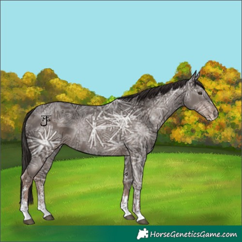 Horse Color:Liver Chestnut Ice Sabino 