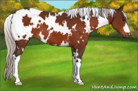 Horse Color:White Spotted Silver Brown 