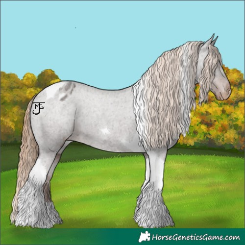 Horse Color:Liver Red Roan Tobiano Appaloosa 