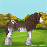 Horse Color:White Spotted Liver Chestnut Varnish