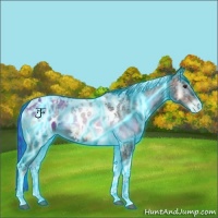 Horse Color:Thunderstruck Liver Red Onyx Ice Tobiano Blanket 
