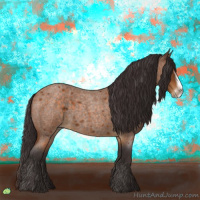 Horse Color:Buckskin Roan Sabino Frame 