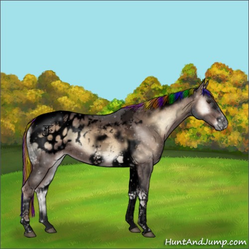 Horse Color:Void Painted Liver Red Onyx Ice Tobiano Frame Appaloosa 