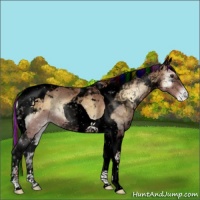 Horse Color:Void Painted Red Onyx Ice Tobiano Varnish