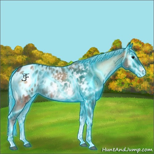 Horse Color:Thunderstruck Silver Bay Ice Roan Onyx Tobiano Appaloosa 