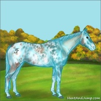 Horse Color:Thunderstruck Silver Bay Ice Roan Onyx Tobiano Appaloosa 