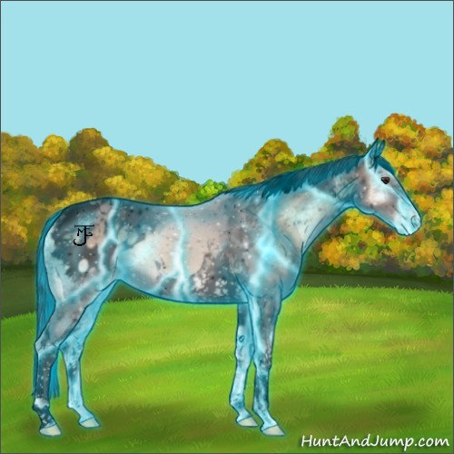 Horse Color:Void Thunderstruck Liver Red Onyx Ice Tobiano Blanket