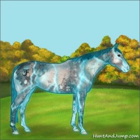 Horse Color:Void Thunderstruck Liver Red Onyx Ice Tobiano Blanket 