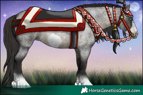 Horse Color:Buckskin Roan Sabino Frame 