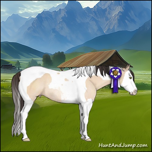 Horse Color:Amber Champagne Dun Sabino Splash Tobiano Rabicano 