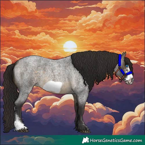 Horse Color:Buckskin Roan Sabino Frame 
