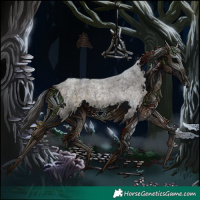 Horse Color:Buckskin Roan Sabino Frame 