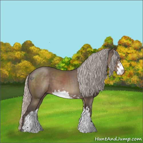 Horse Color:Silver Black Sabino 