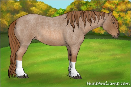 Horse Color:Red Roan Tobiano 